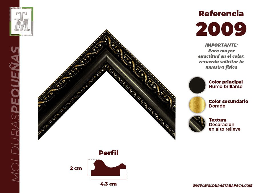 Ref 2009