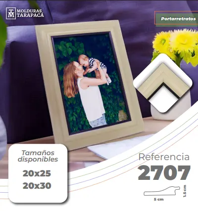 Ref 2707