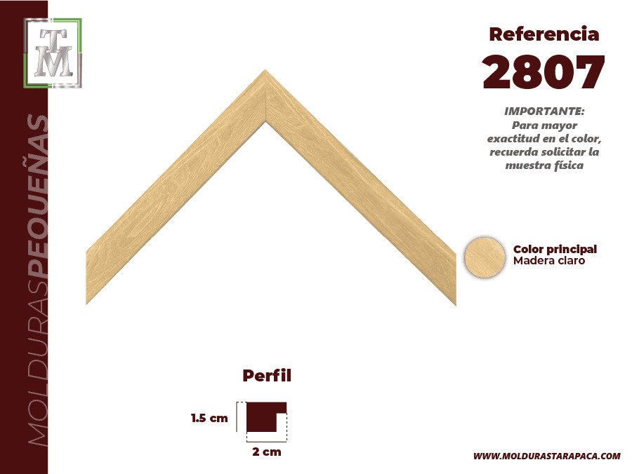 Ref 2807