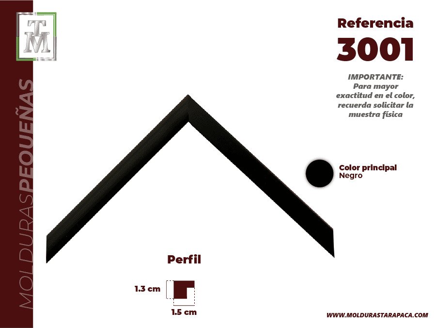 Ref 3001