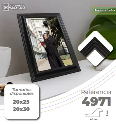 Ref 4971