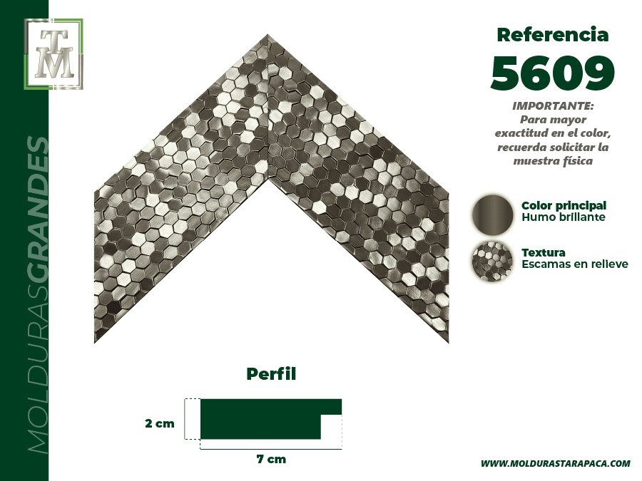 Ref 5609