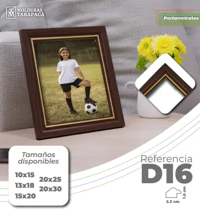 Ref d16